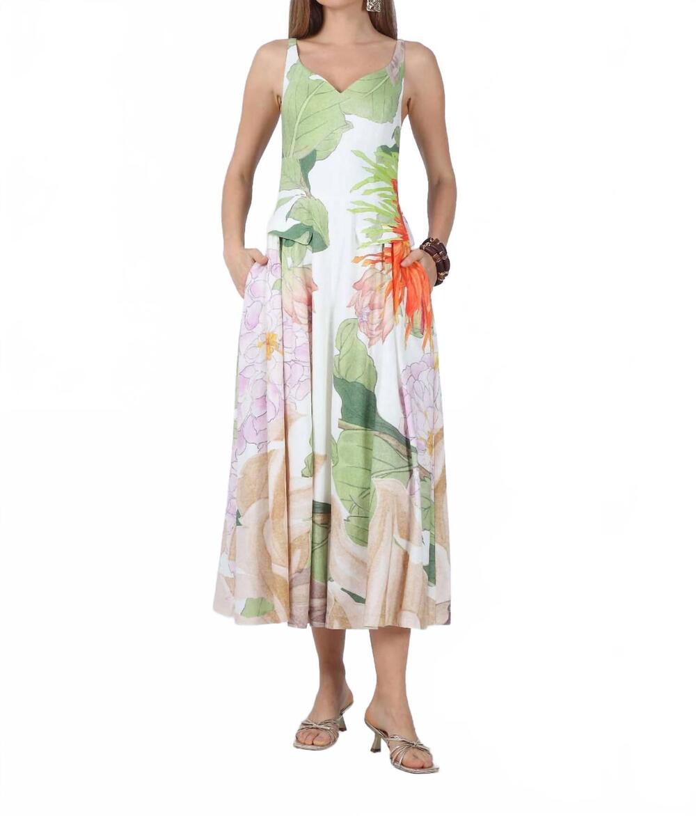 NEW AYLAYA laila maxi dress in wonderland